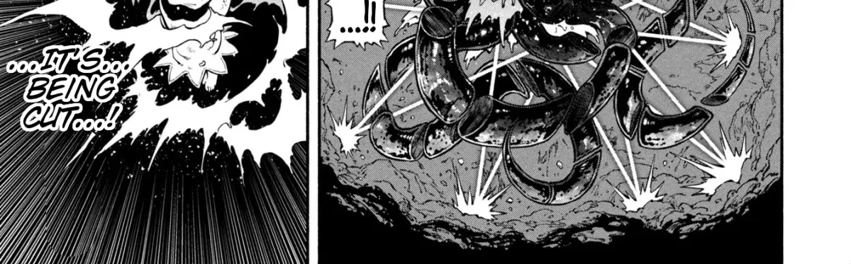 The Lady Knight and the Beast-Eared Child Chapter 58.07 page 18 - 
