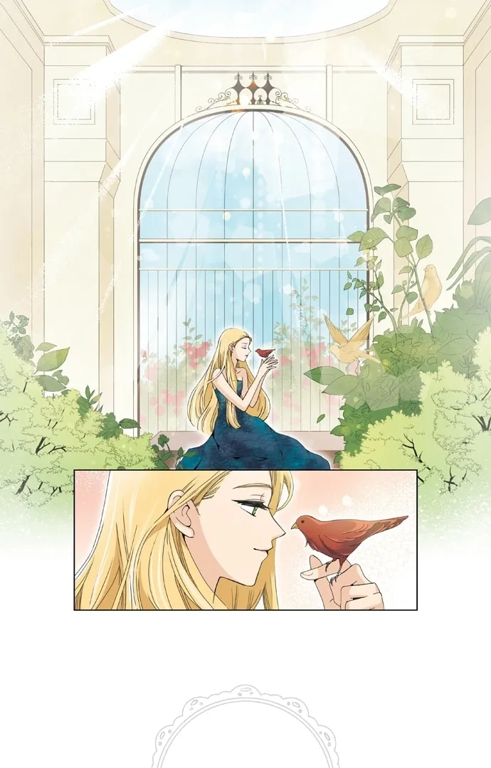 Read The Lady Project chapter 1 image 6 on Lezhin