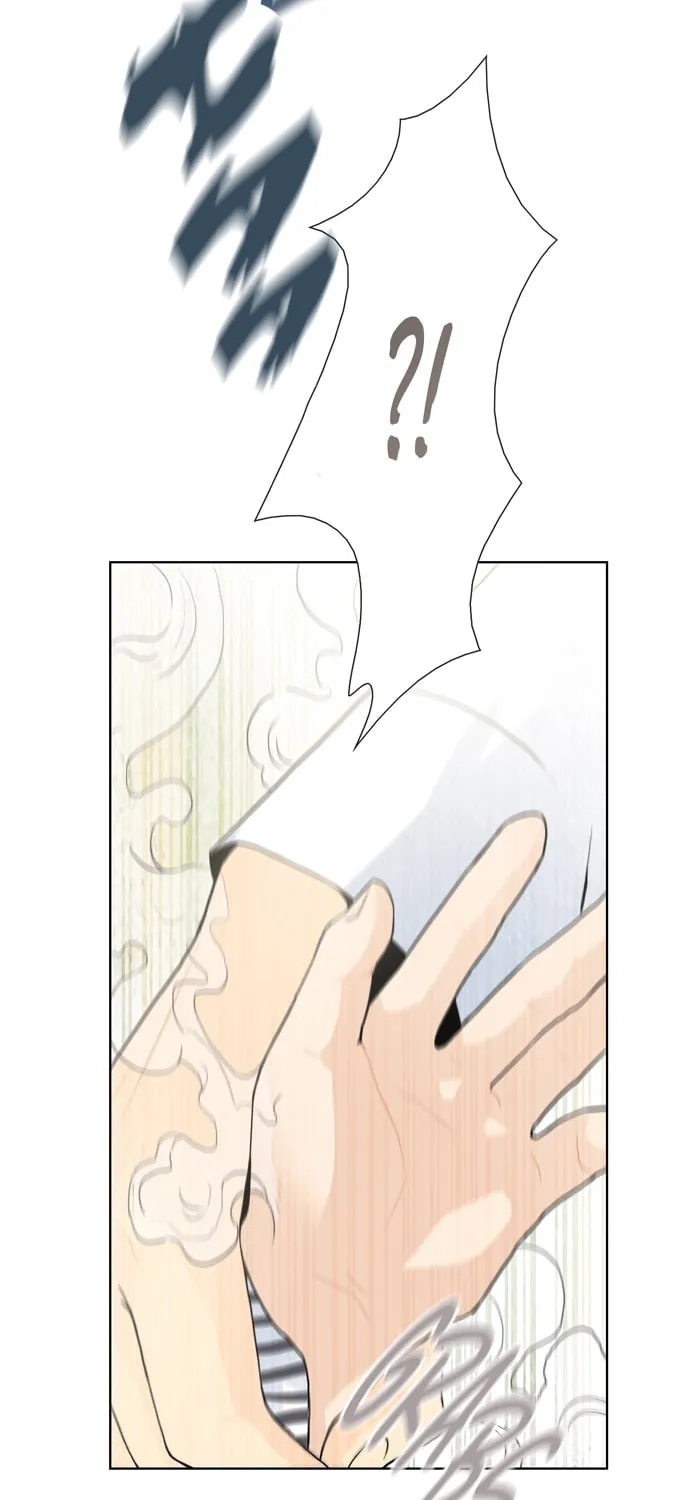 Read The Lady Project chapter 13 image 41 on Lezhin