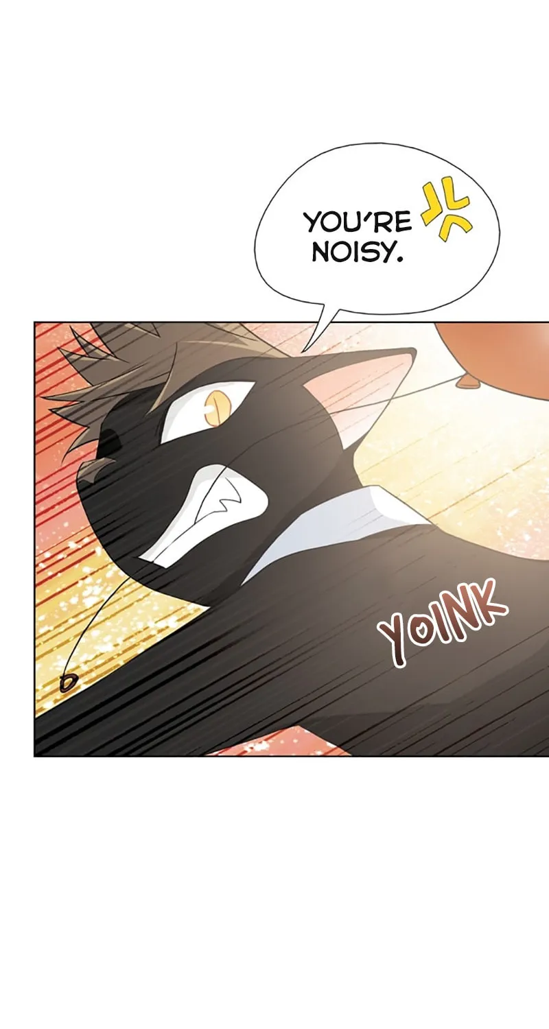 Read The Lady Project chapter 15 image 26 on Lezhin