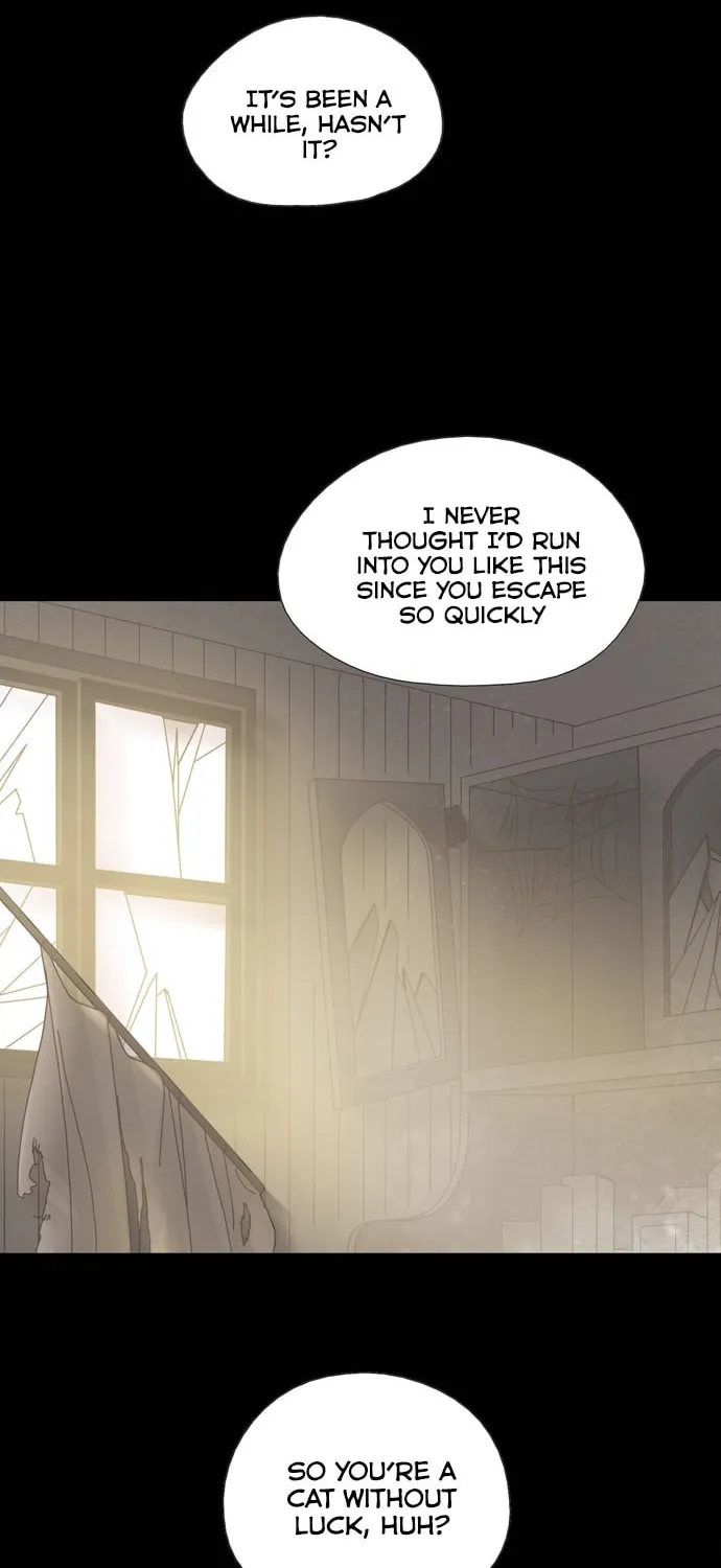 Read The Lady Project chapter 17 image 17 on Lezhin