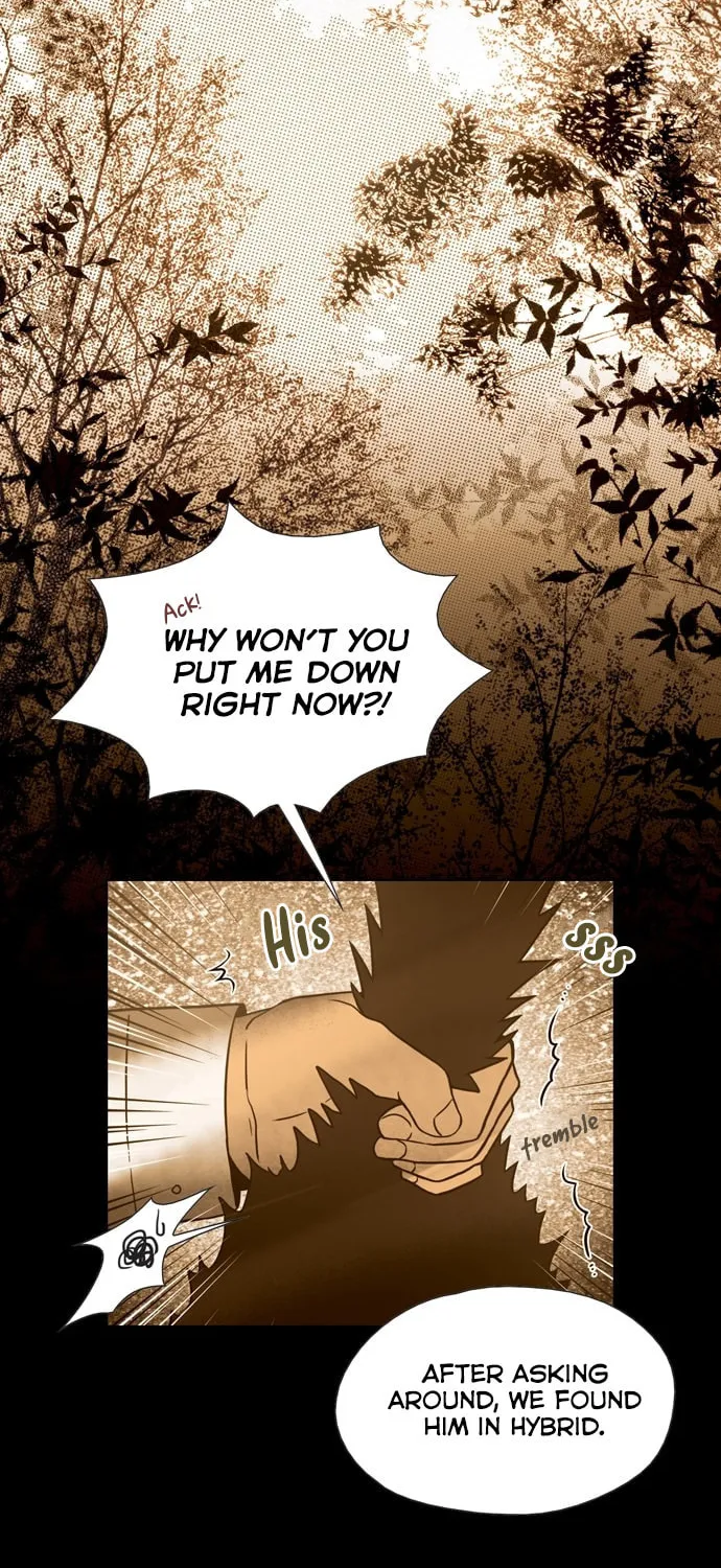Read The Lady Project chapter 17 image 2 on Lezhin