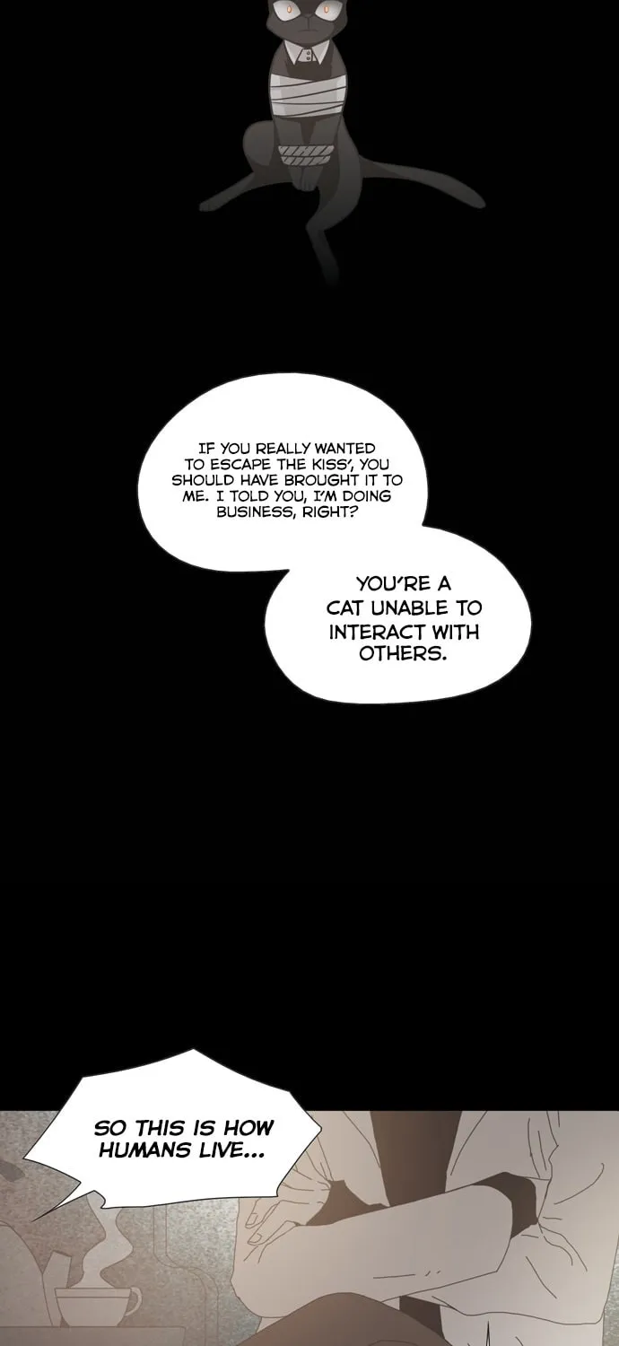 Read The Lady Project chapter 17 image 25 on Lezhin