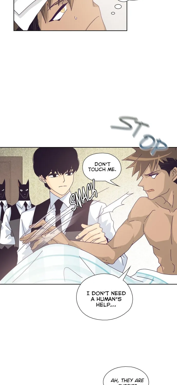Read The Lady Project chapter 19 image 23 on Lezhin