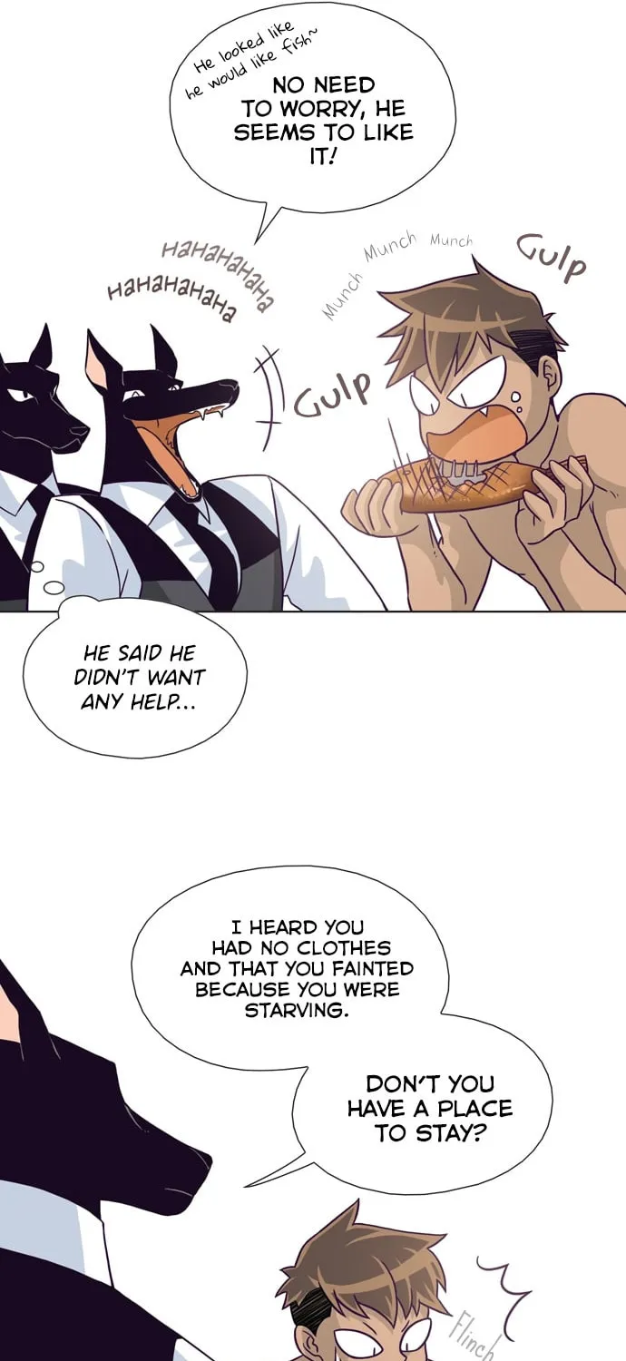 Read The Lady Project chapter 19 image 29 on Lezhin