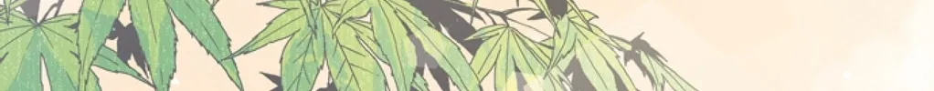 Read The Lady Project chapter 3 image 44 on Lezhin