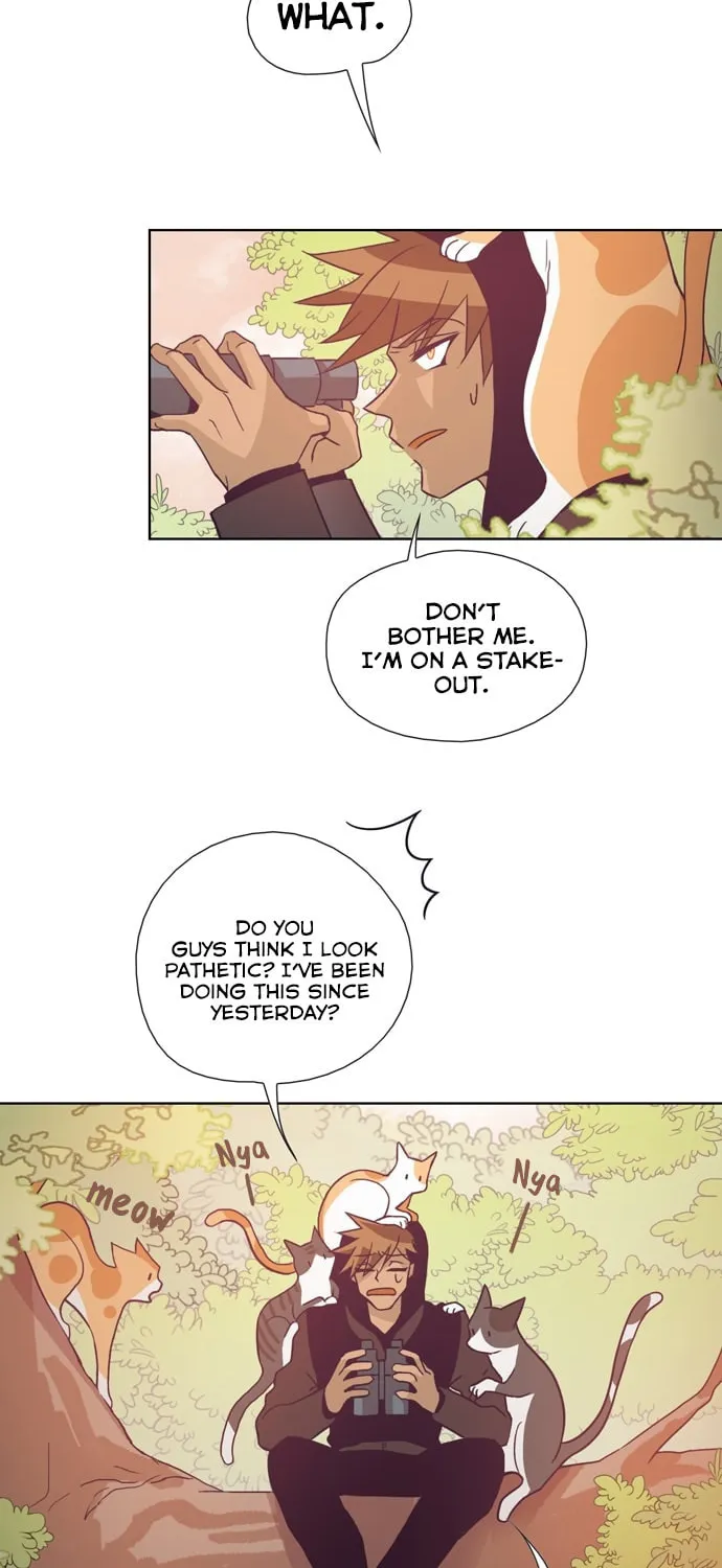 Read The Lady Project chapter 31 image 1 on Lezhin