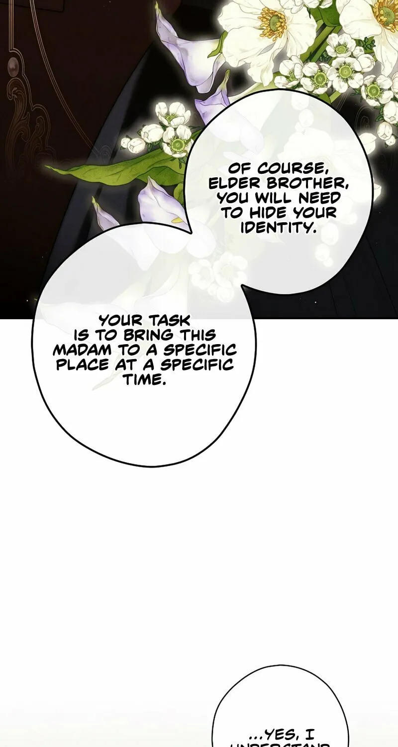 Read The Lady