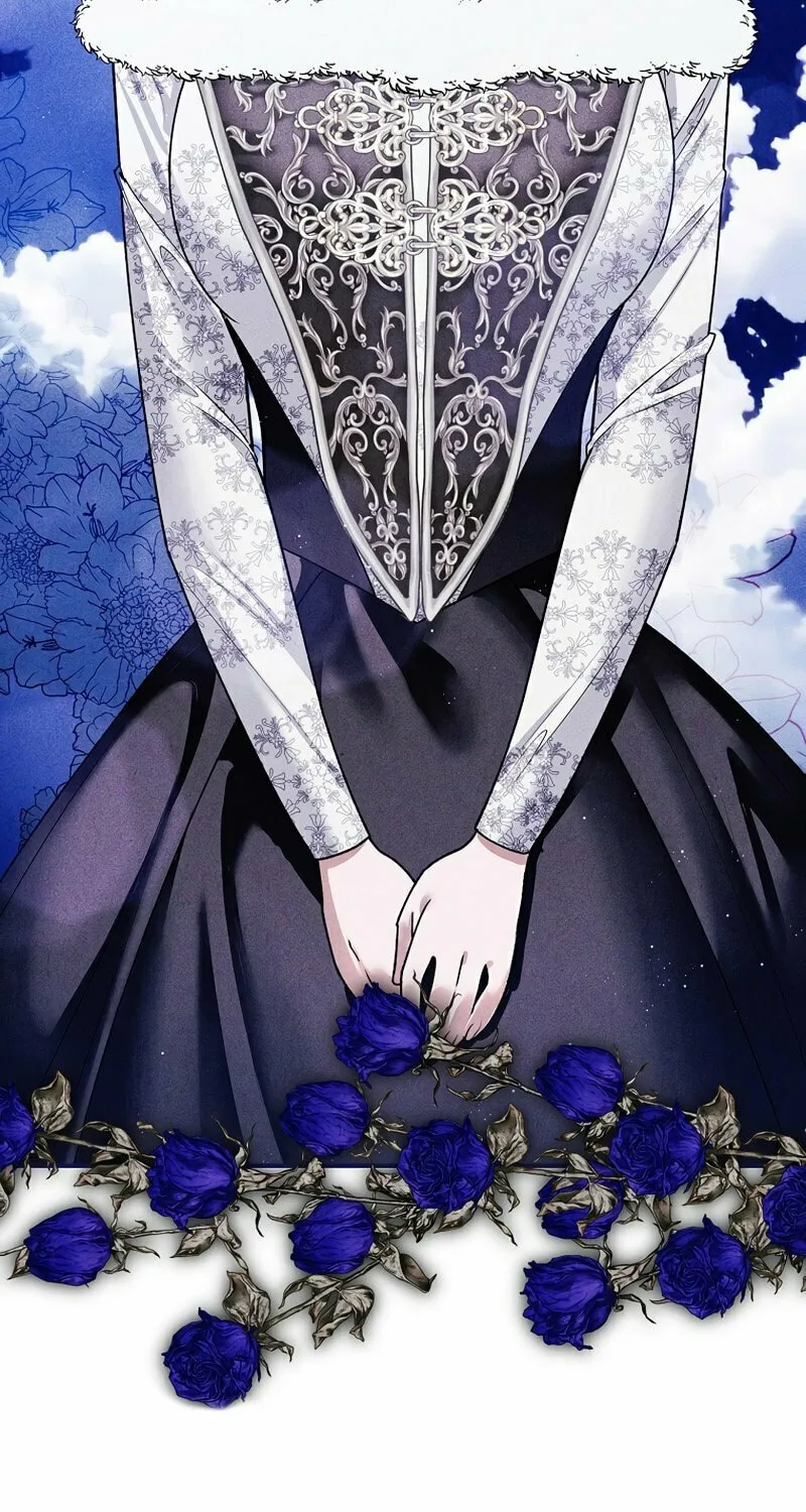 Read The Lady