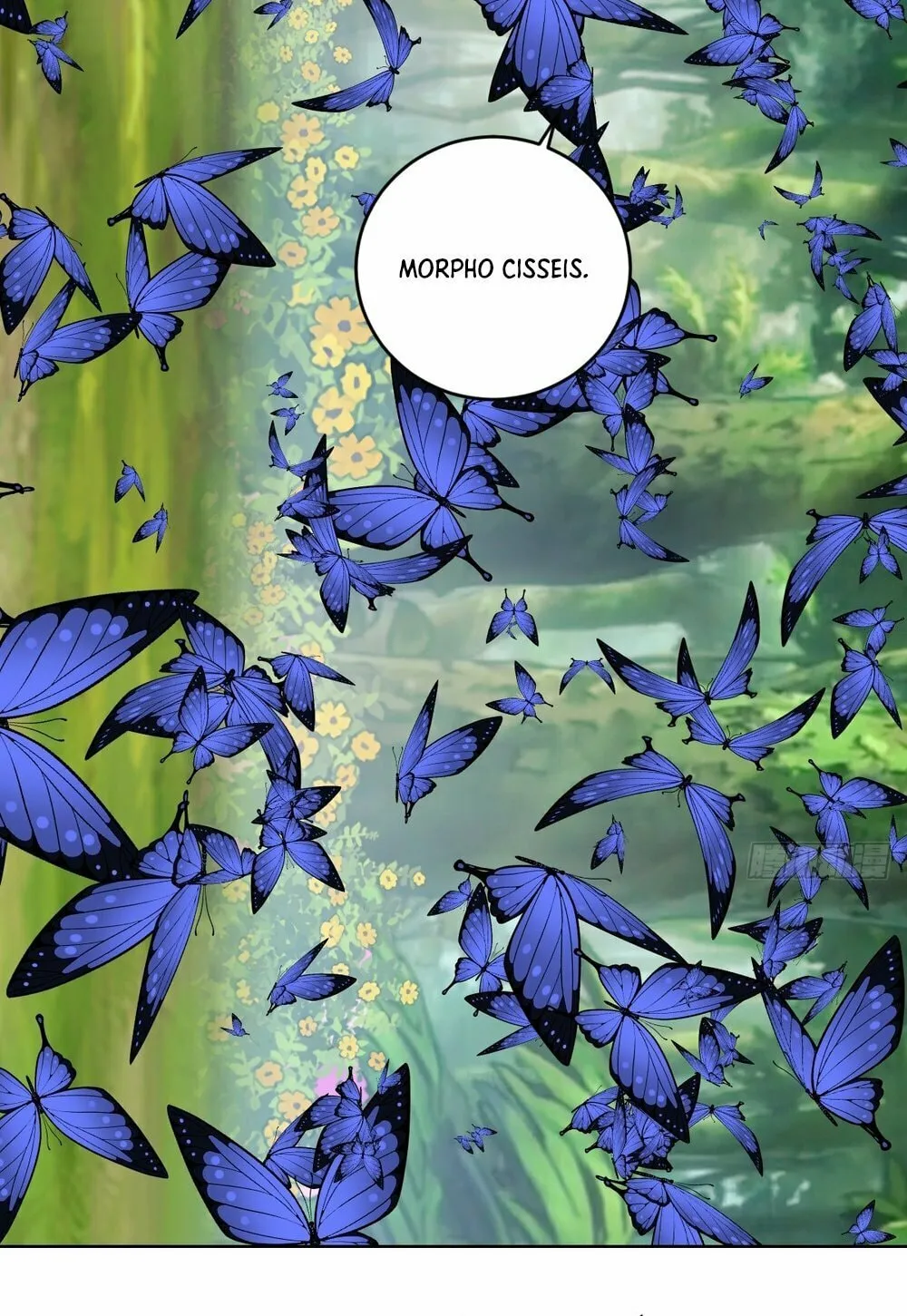 The Last Cultivator Chapter 28 page 5 - 