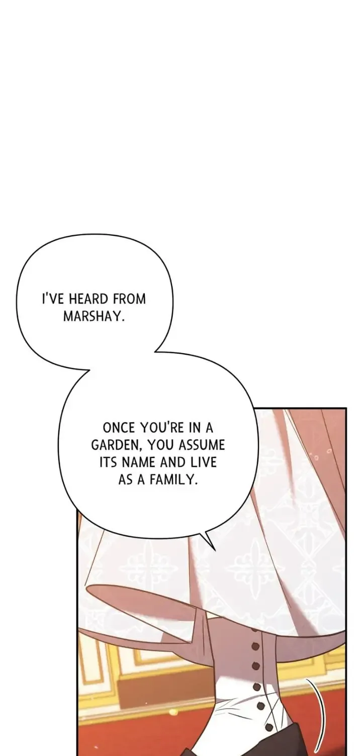 The Last Immortal's Theorem Chapter 37 page 81 - 