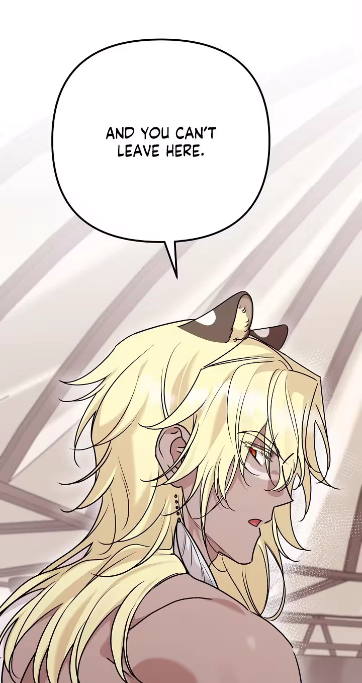  Chapter 11 page 77 - 
