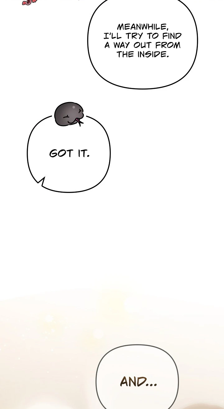  Chapter 12 page 13 - 