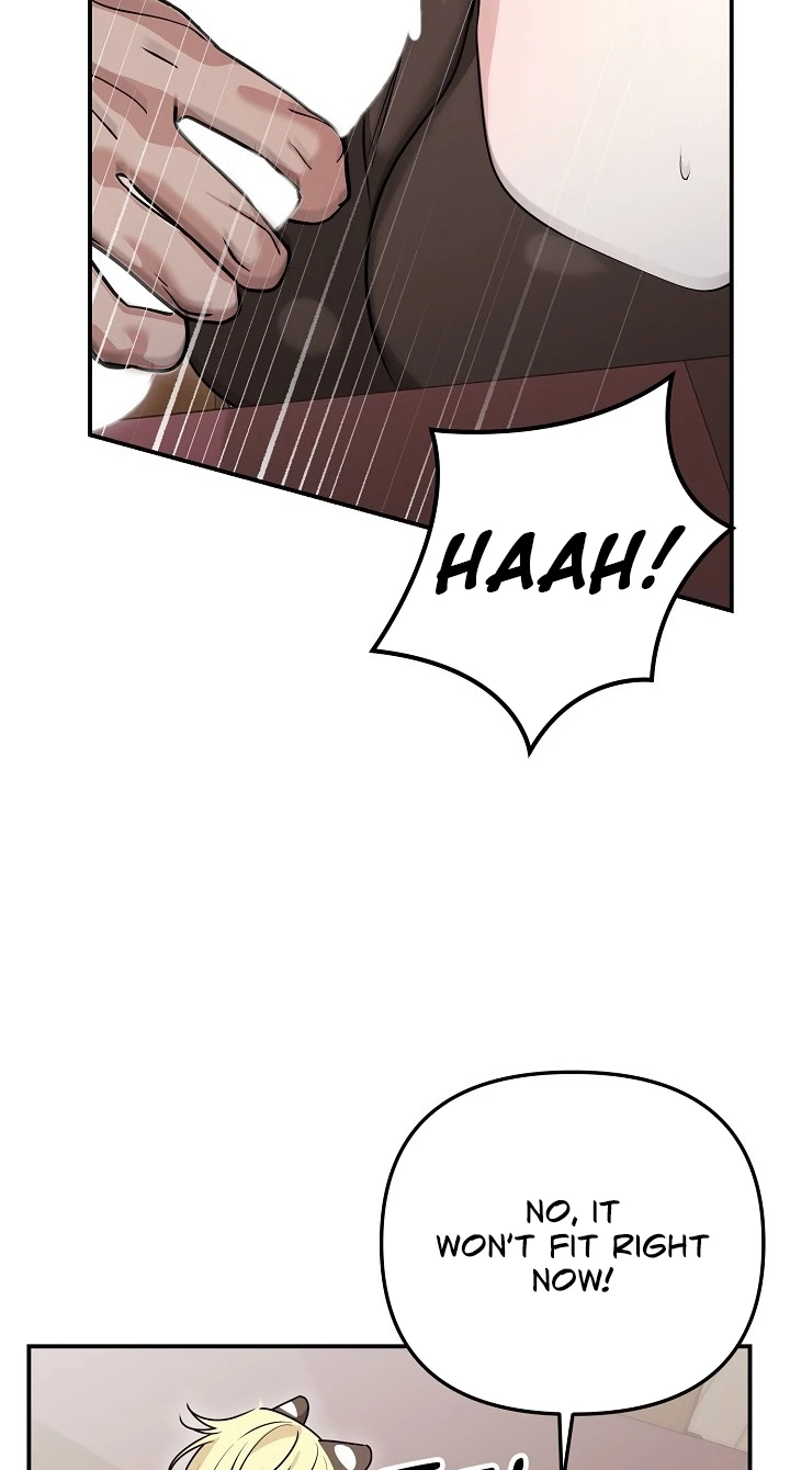  Chapter 13 page 8 - 