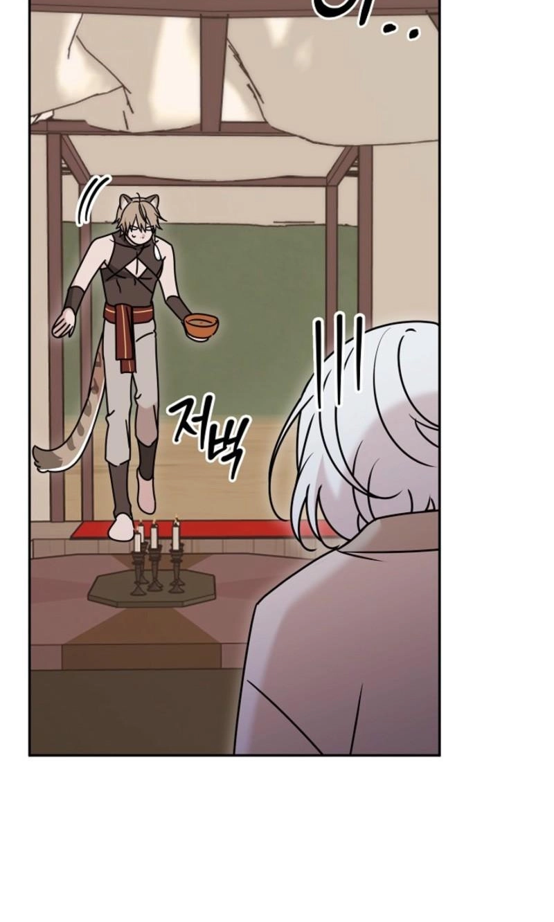  Chapter 15 page 3 - 