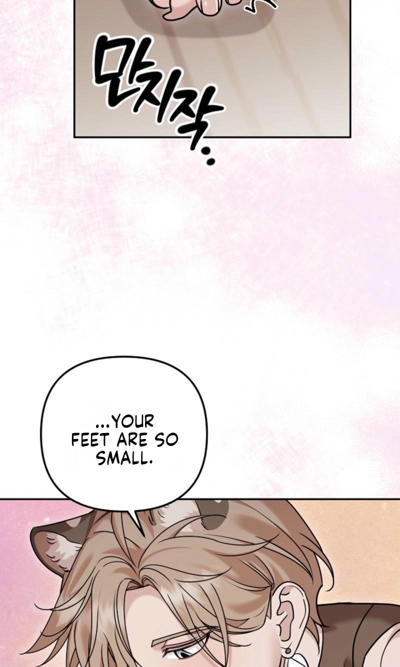  Chapter 15 page 37 - 