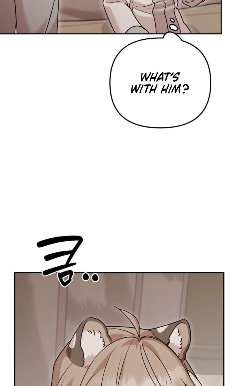 Chapter 15 page 8 - 