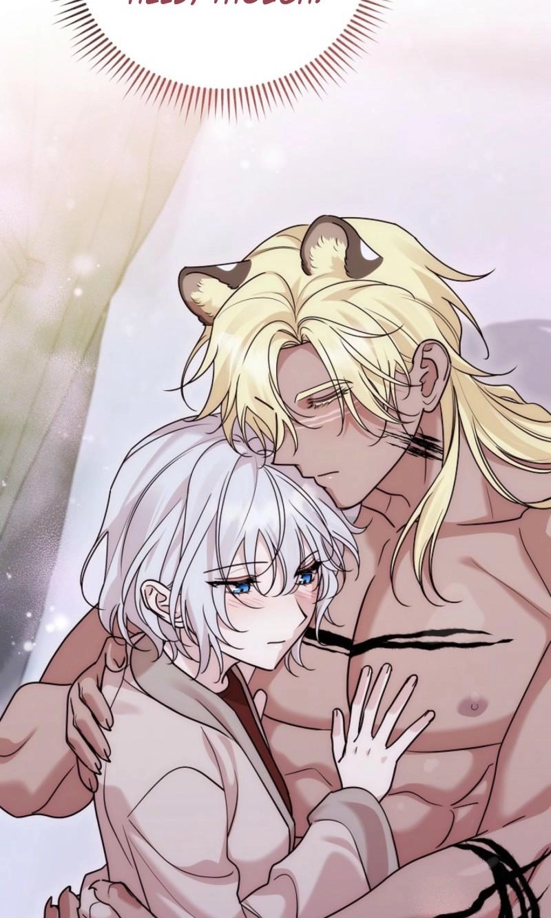  Chapter 16 page 66 - 