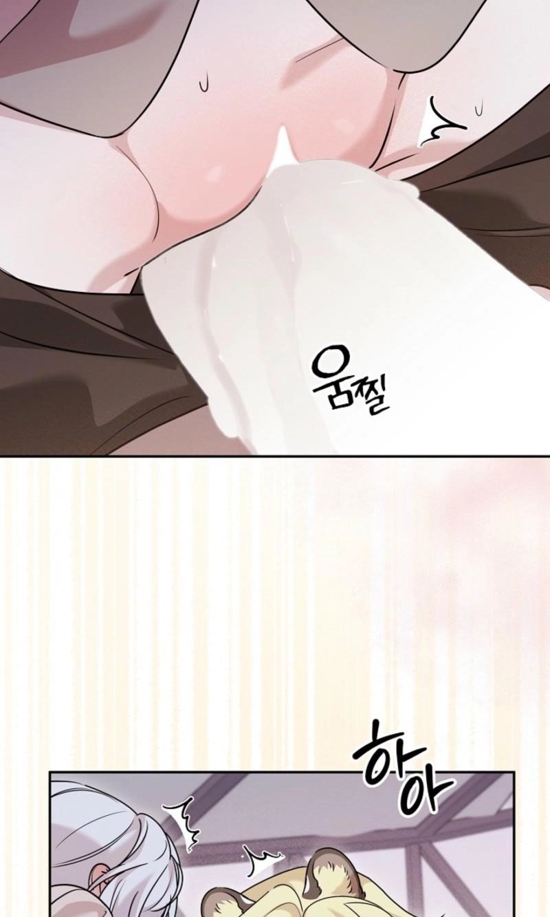  Chapter 16 page 81 - 