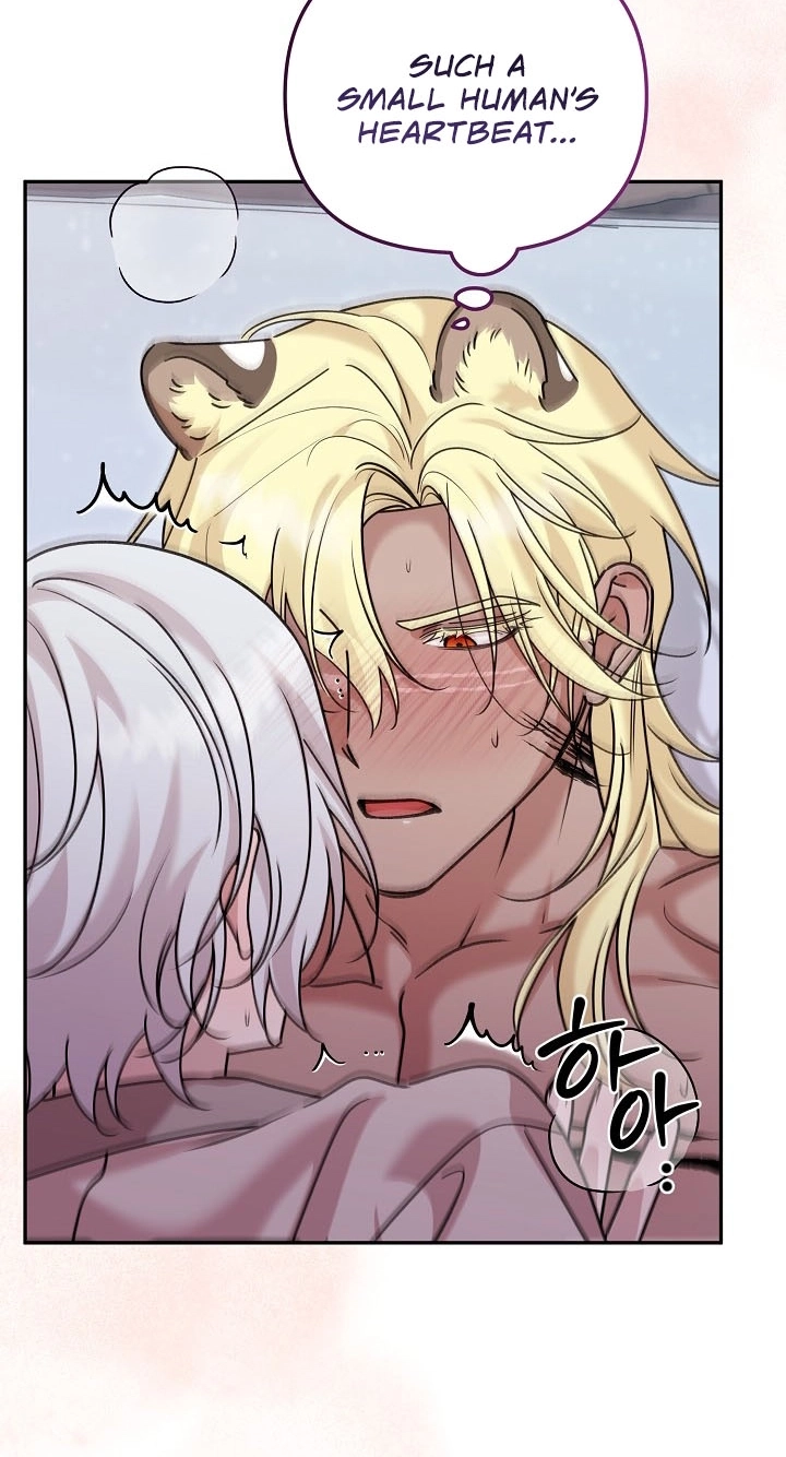 Chapter 17 page 14 - 