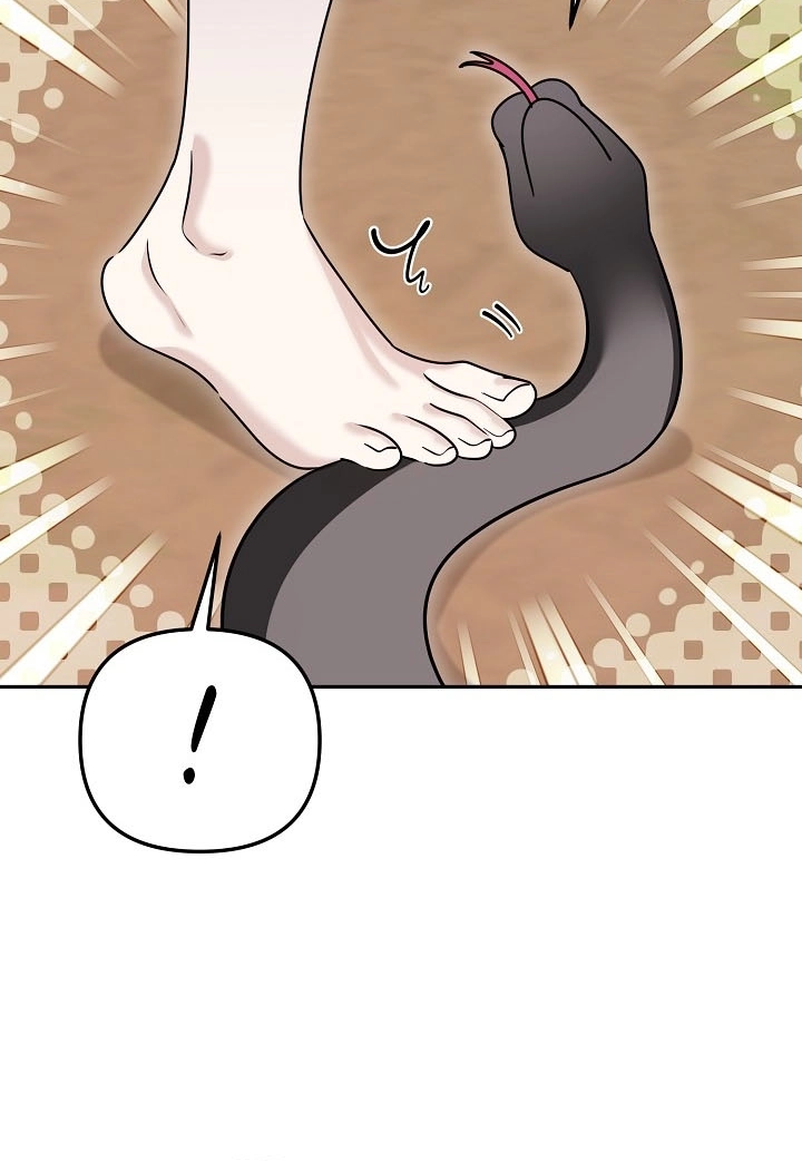  Chapter 17 page 38 - 