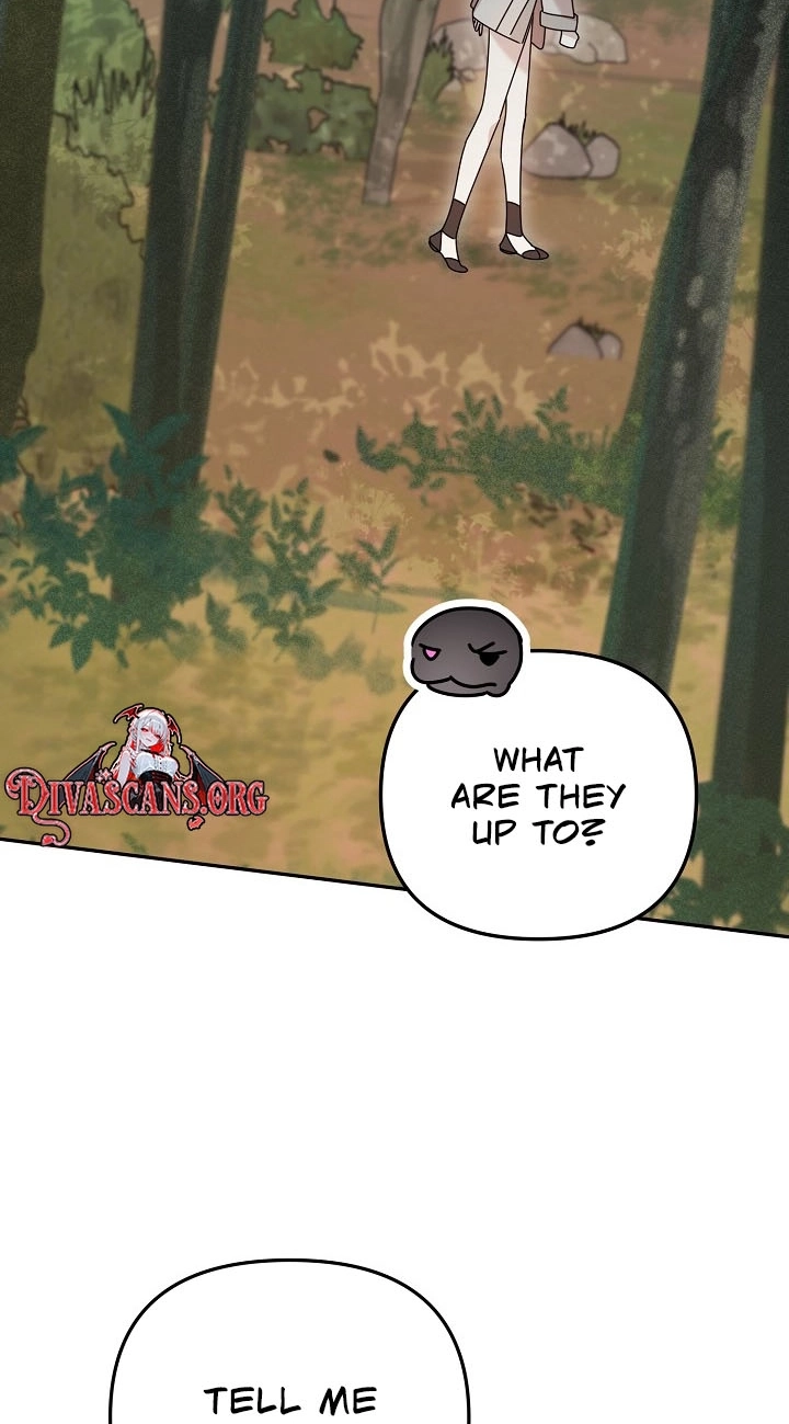 Chapter 17 page 62 - 