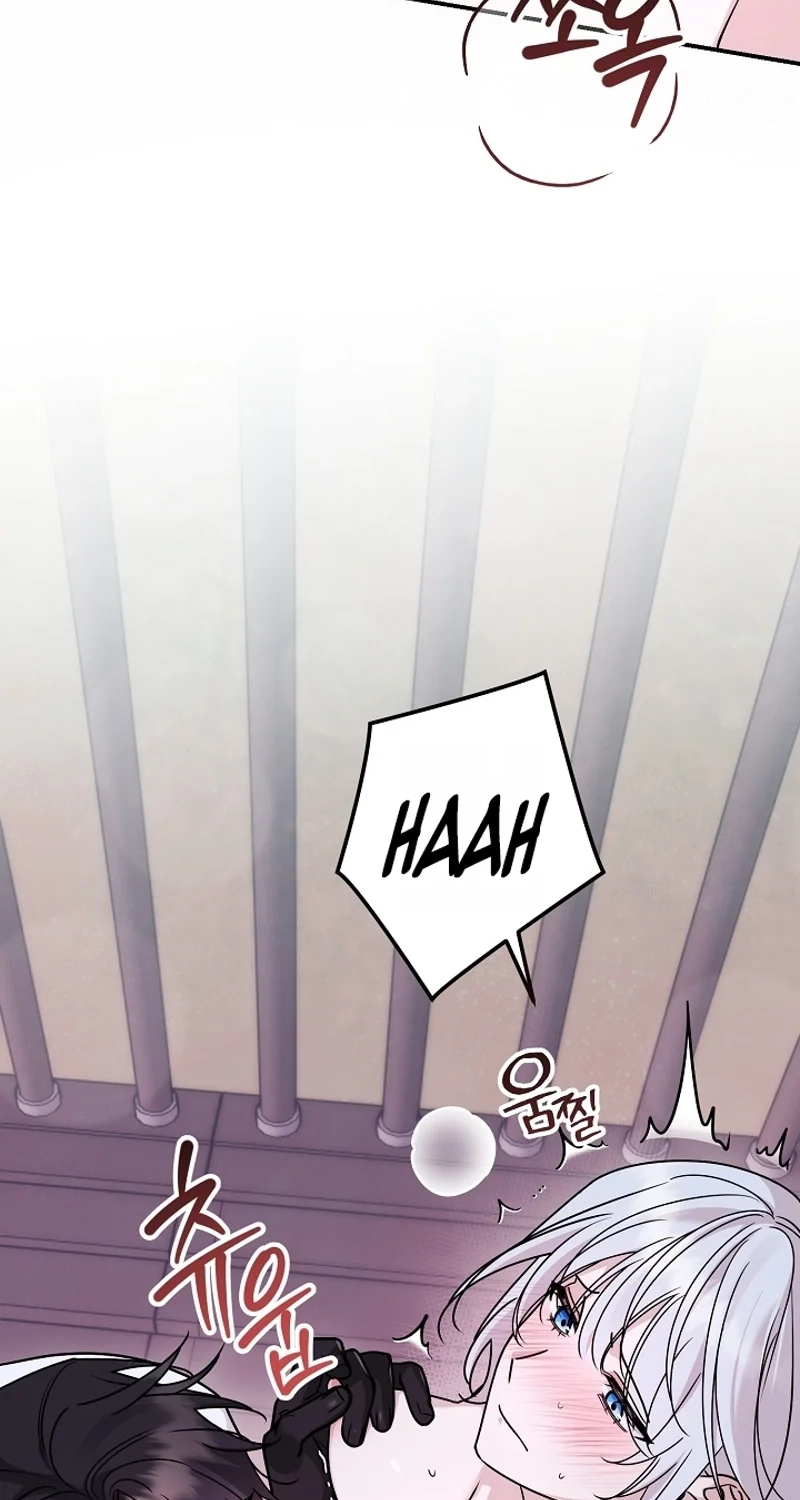  Chapter 6 page 17 - 