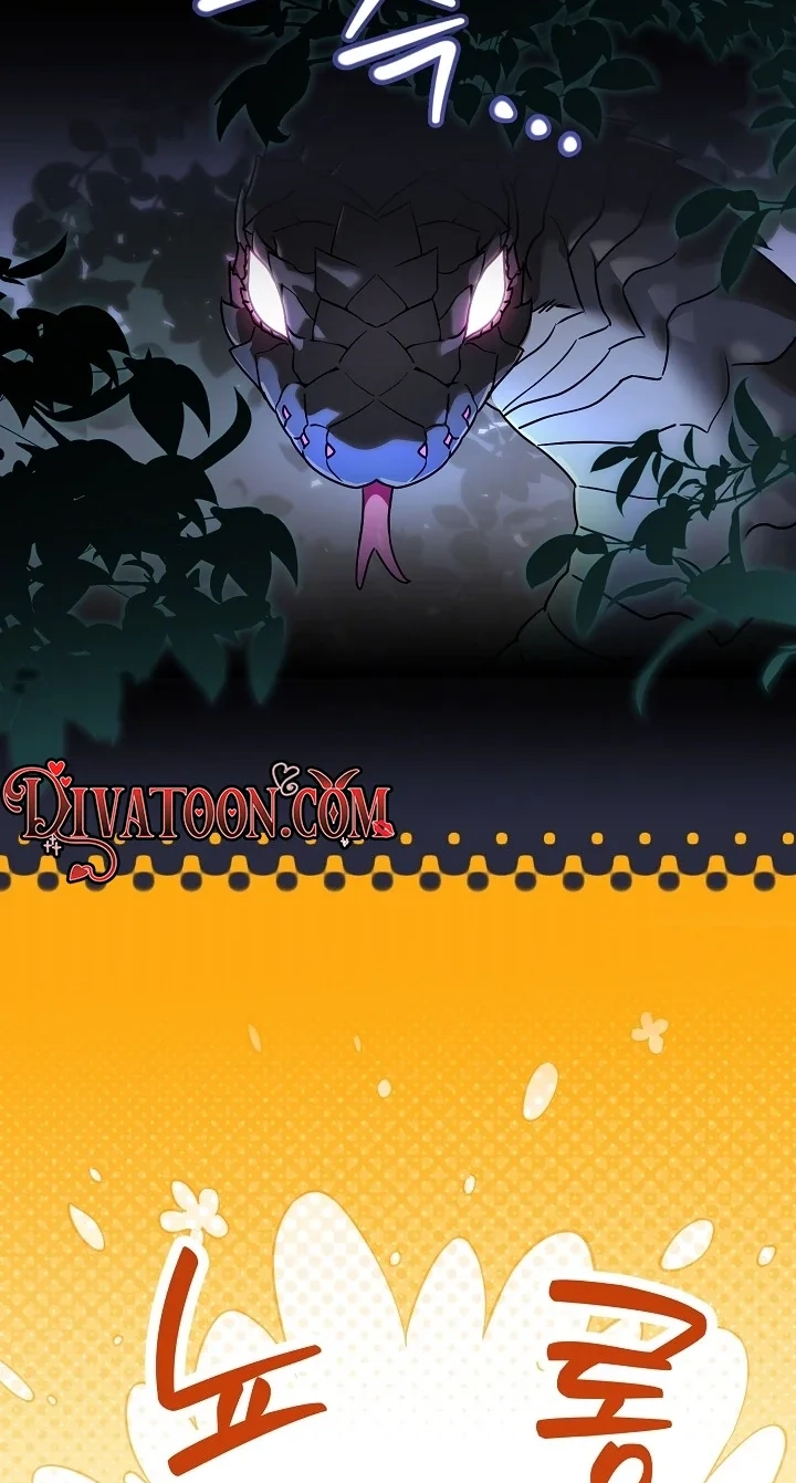  Chapter 8 page 62 - 