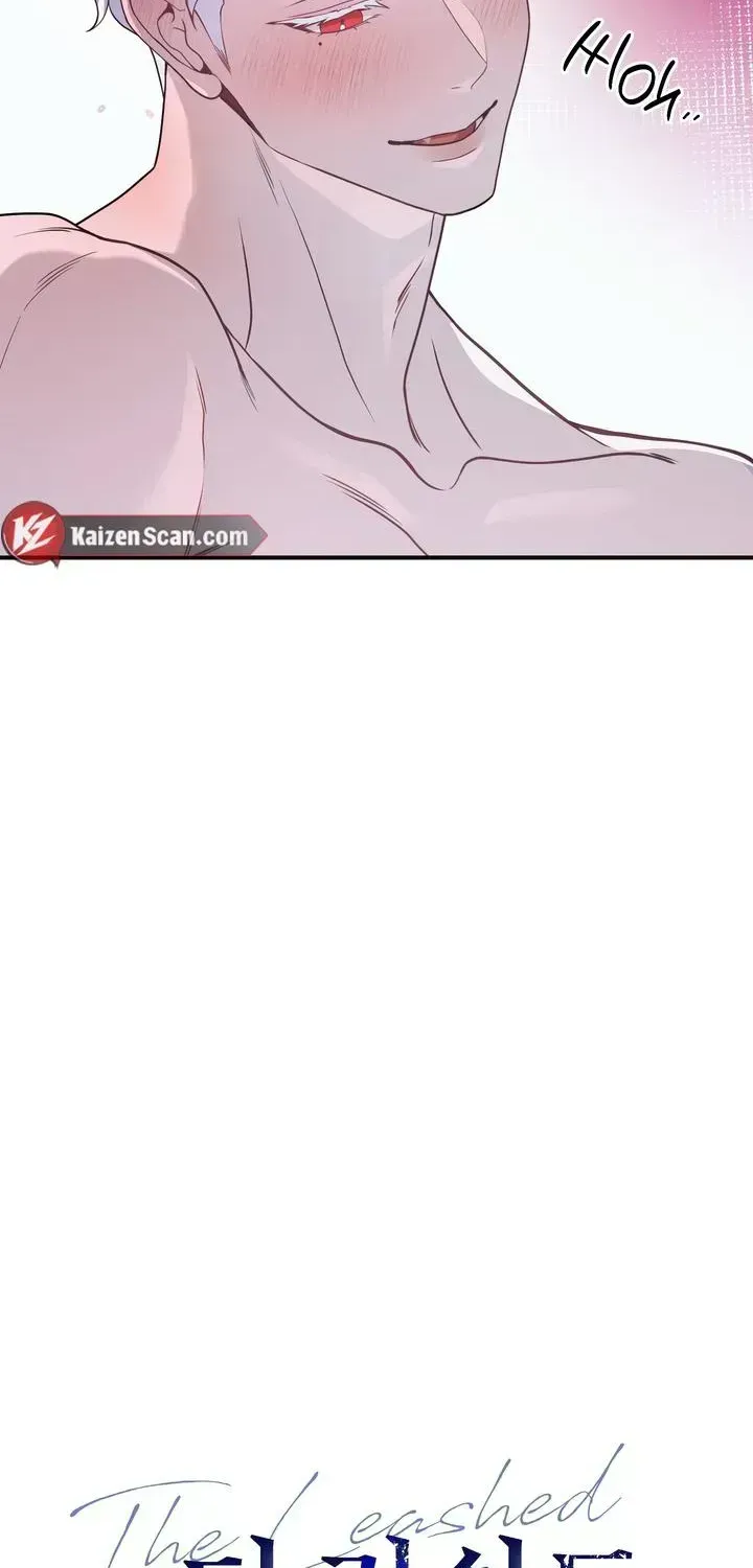 Read The Leashed chapter 2.3 image 22 on Lezhin