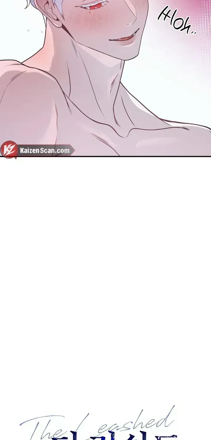 Read The Leashed chapter 2.4 image 22 on Lezhin