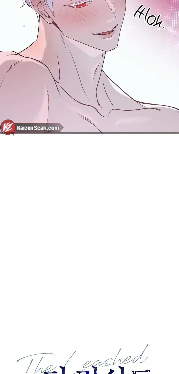 Read The Leashed chapter 2.5 image 22 on Lezhin
