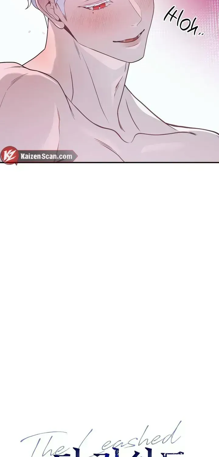 Read The Leashed chapter 2.7 image 22 on Lezhin