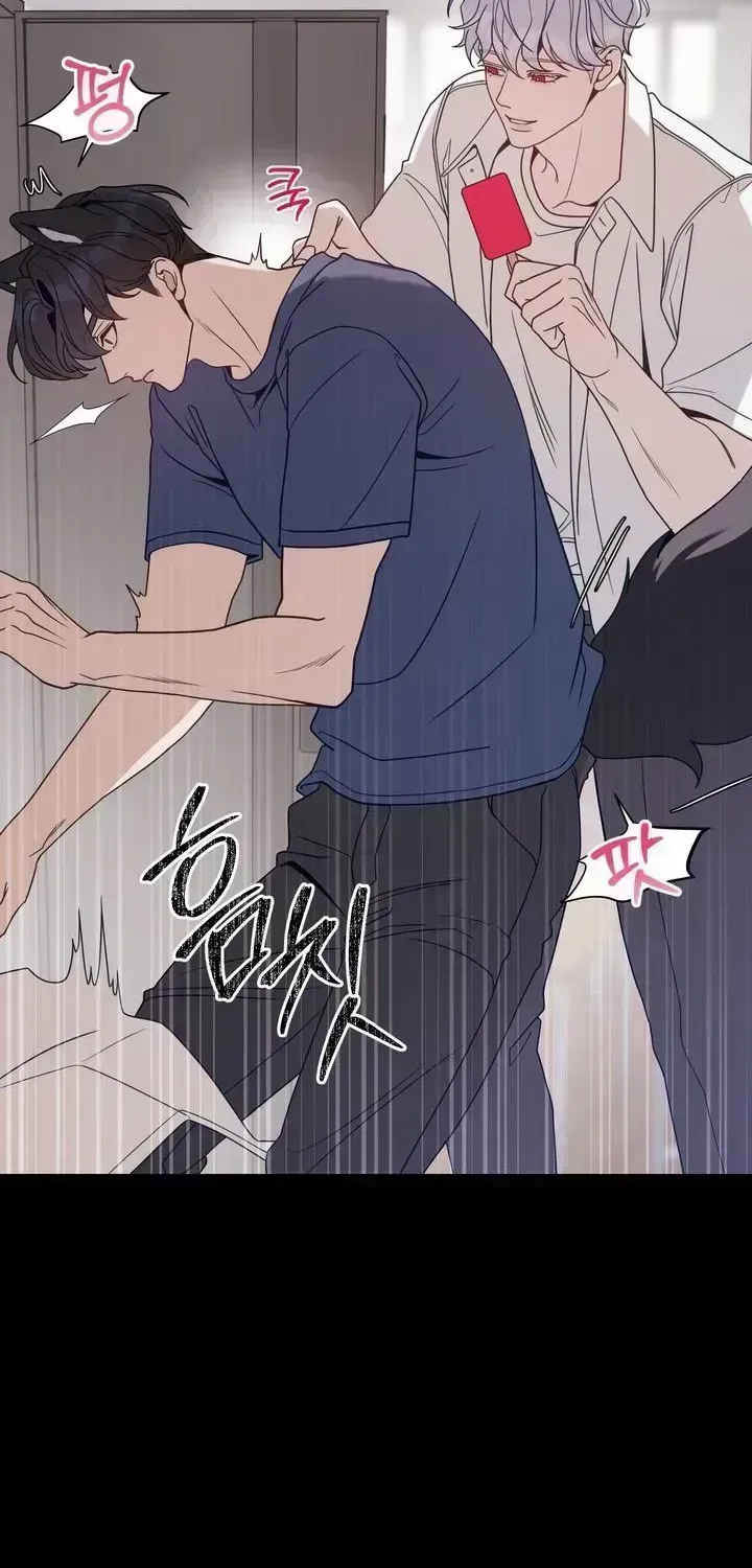Read The Leashed chapter 2.7 image 7 on Lezhin