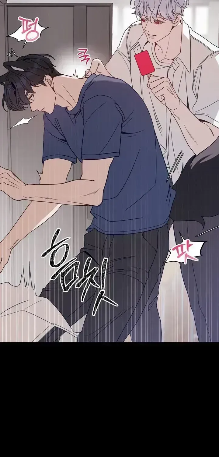 Read The Leashed chapter 2.9 image 7 on Lezhin
