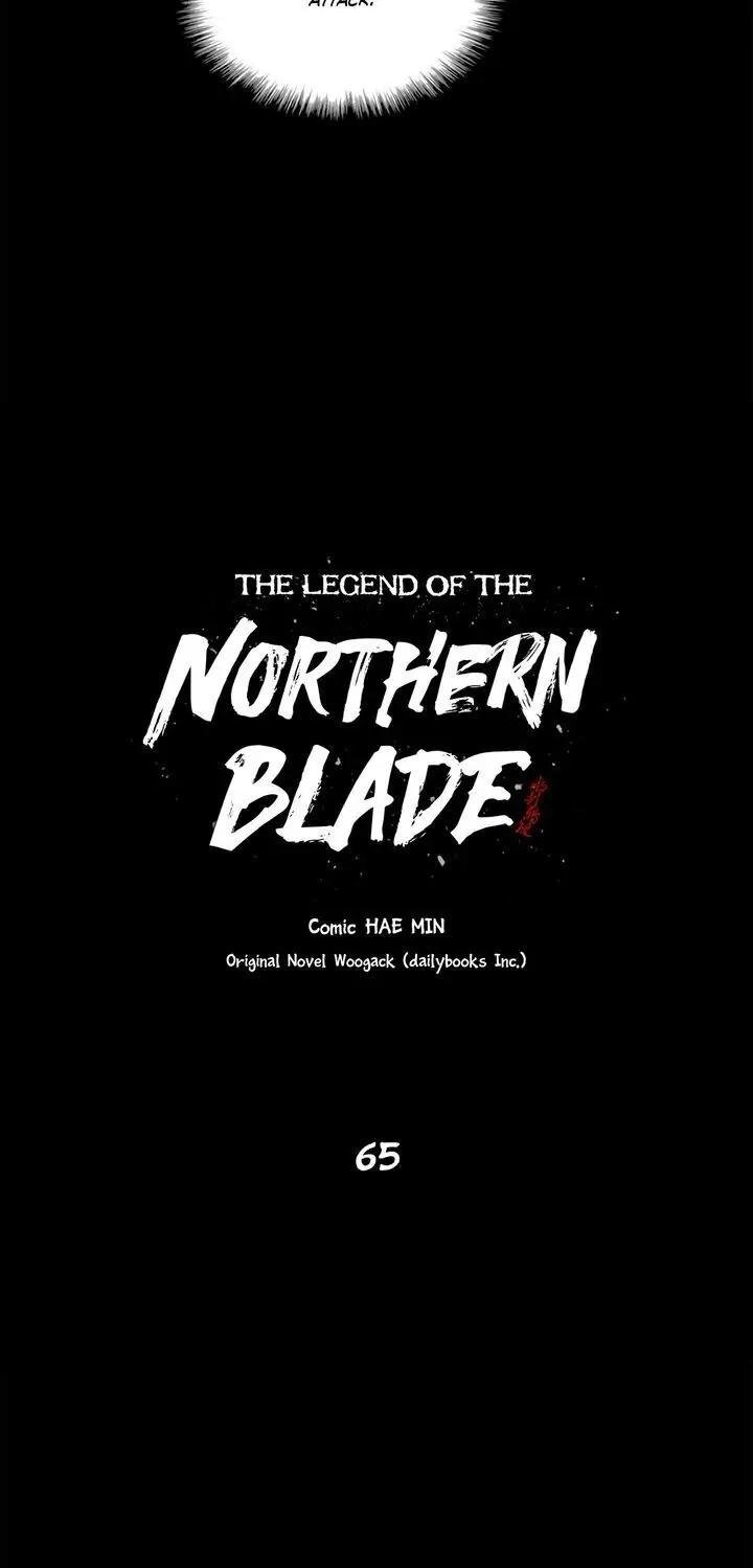 The Legend of the Northern Blade Chapter 65 page 14 - 