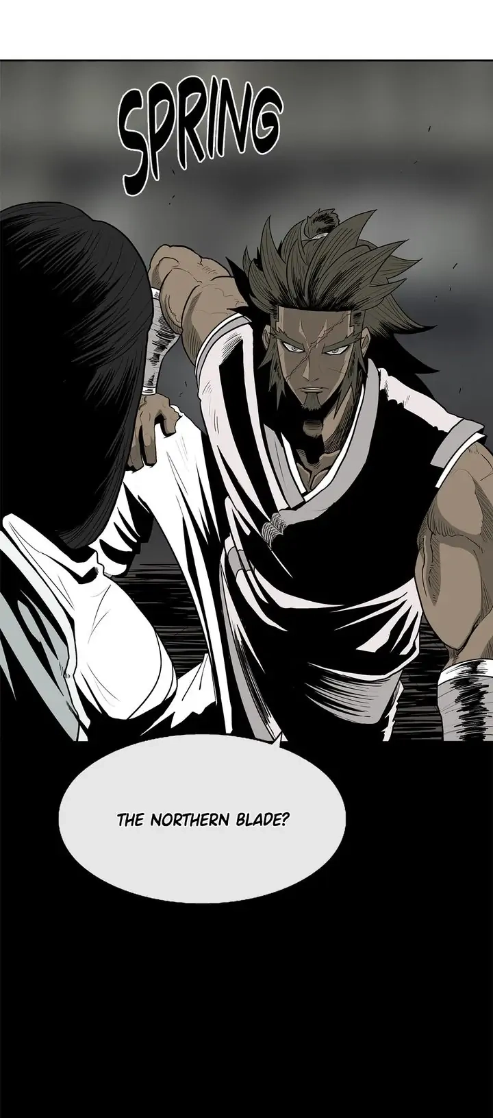 The Legend of the Northern Blade Chapter 81 page 29 - 