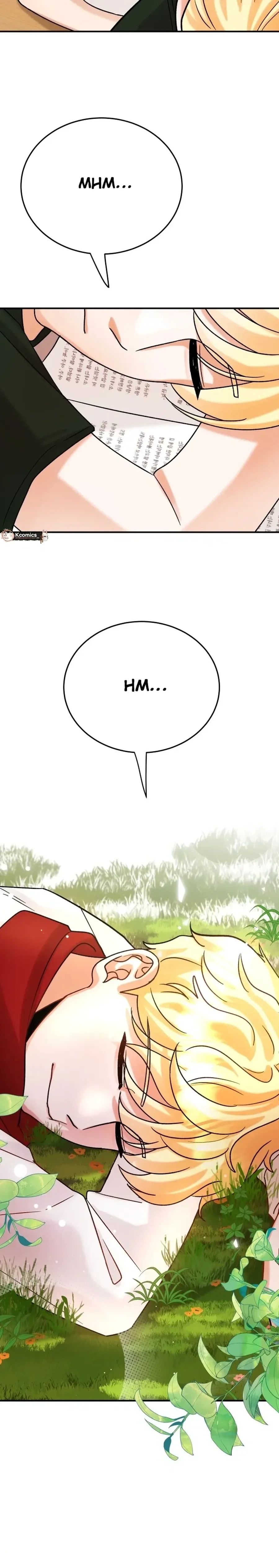 The Little Prince Reincarnate Chapter 10 page 17 - 