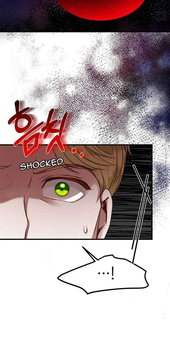 The Little Princess and Her Monster Prince Chapter 32.5 page 37 - 