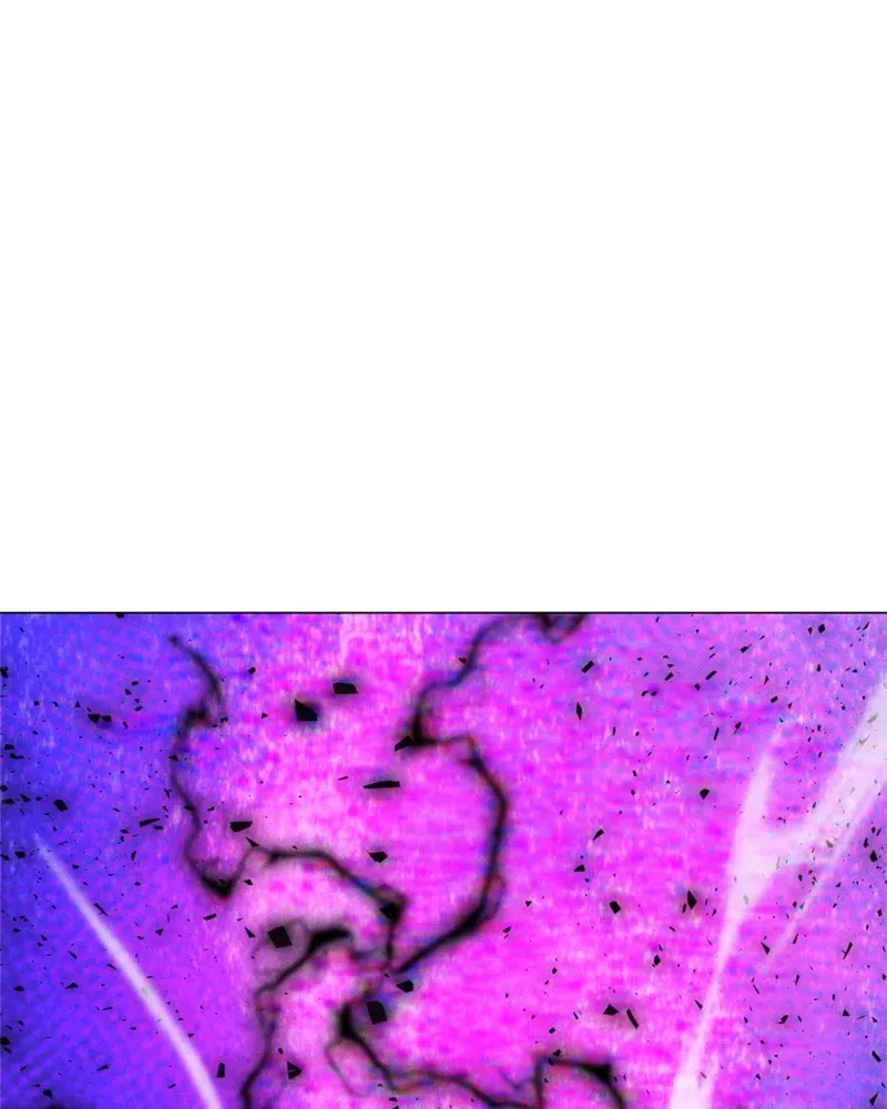 Read The Lone Spellcaster chapter 202 image 130 on Lezhin