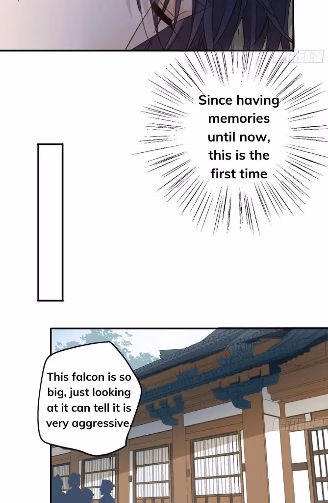 Read The Lord Has Hidden Intentions chapter 29 image 13 on Lezhin