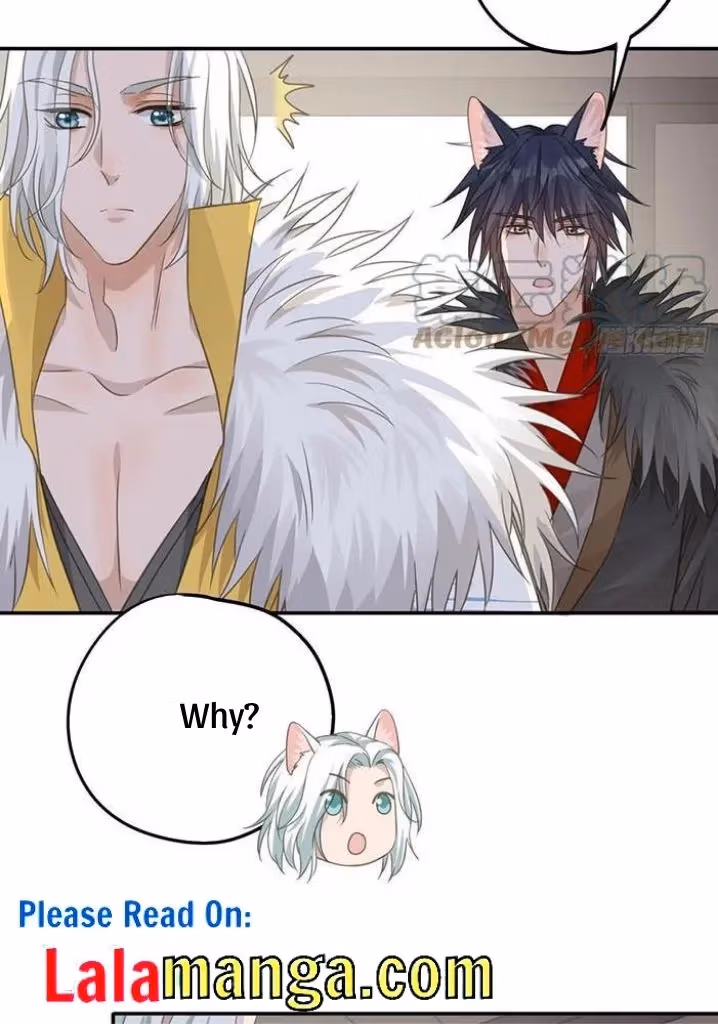 Read The Lord Has Hidden Intentions chapter 47 image 24 on Lezhin