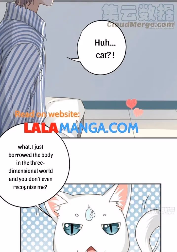 Read The Lord Has Hidden Intentions chapter 60 image 12 on Lezhin