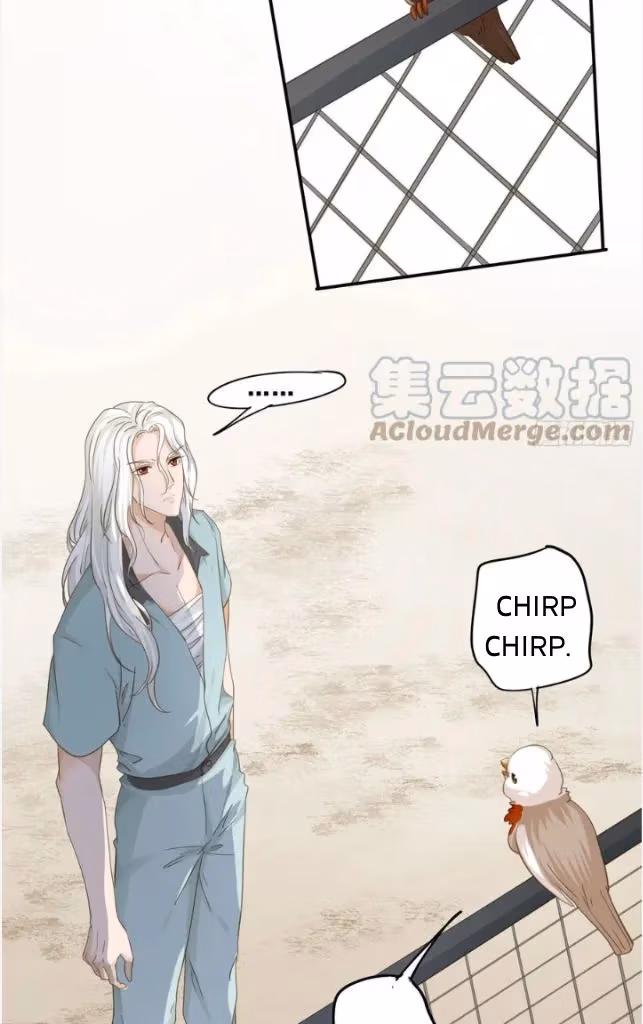 Read The Lord Has Hidden Intentions chapter 66 image 5 on Lezhin