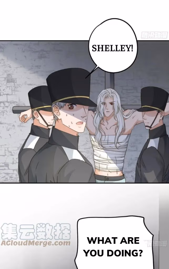 Read The Lord Has Hidden Intentions chapter 74 image 11 on Lezhin