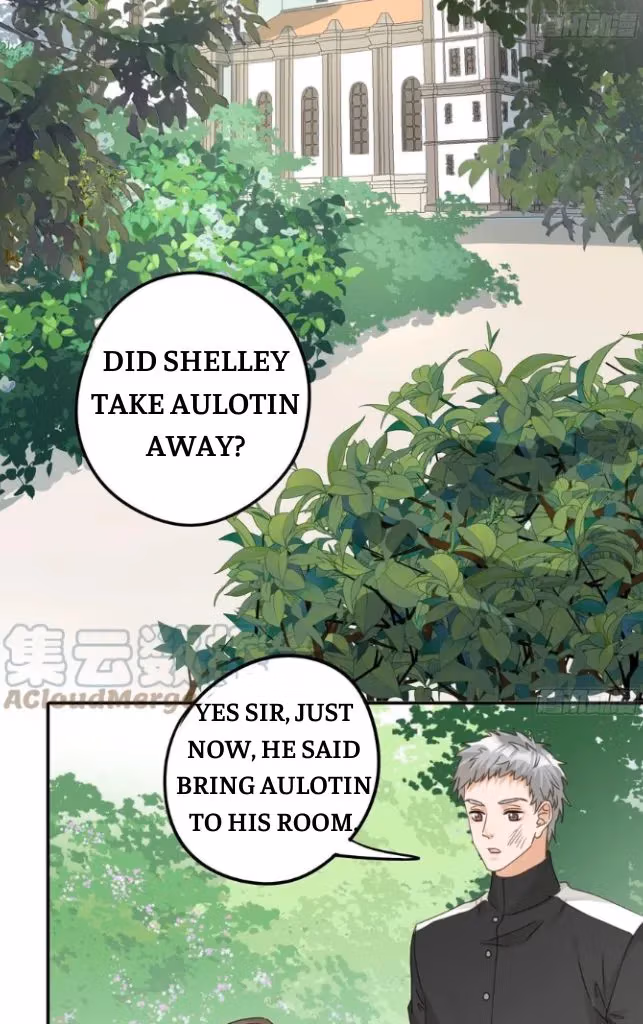 Read The Lord Has Hidden Intentions chapter 74 image 28 on Lezhin