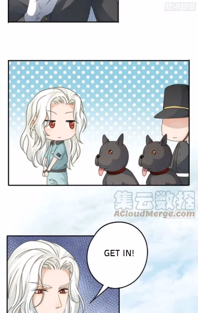 Read The Lord Has Hidden Intentions chapter 79 image 14 on Lezhin