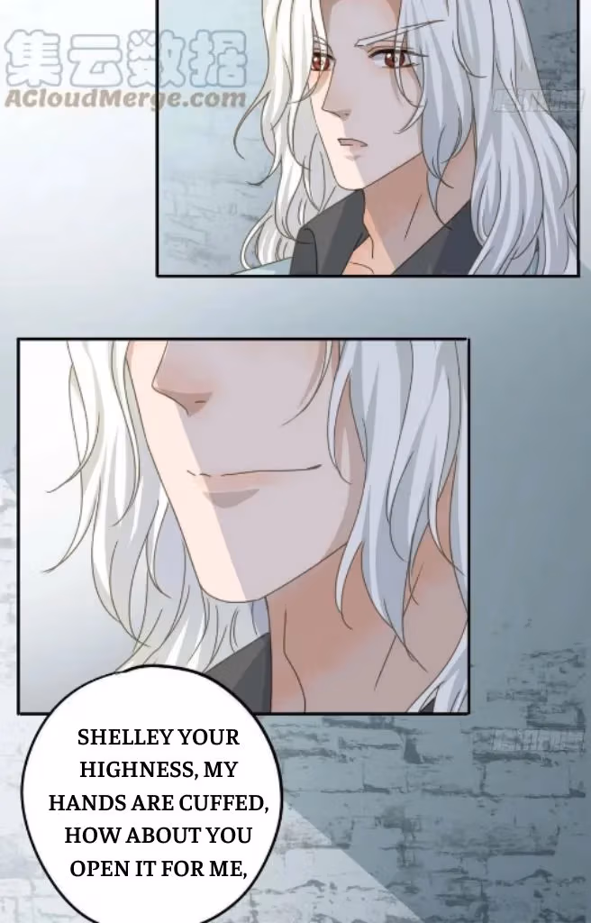 Read The Lord Has Hidden Intentions chapter 81 image 14 on Lezhin