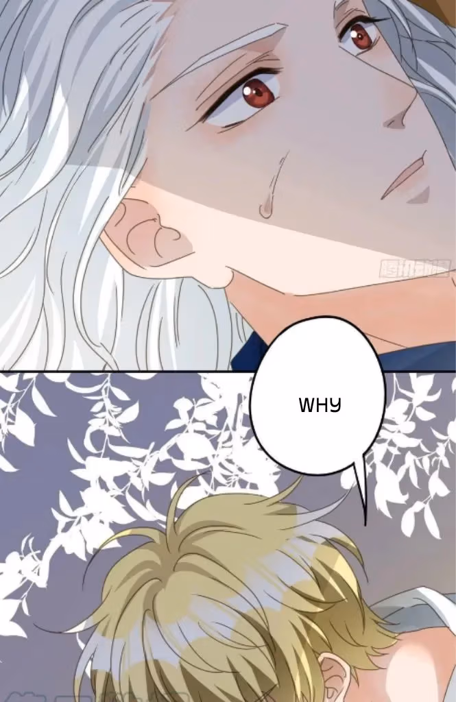 Read The Lord Has Hidden Intentions chapter 86 image 33 on Lezhin