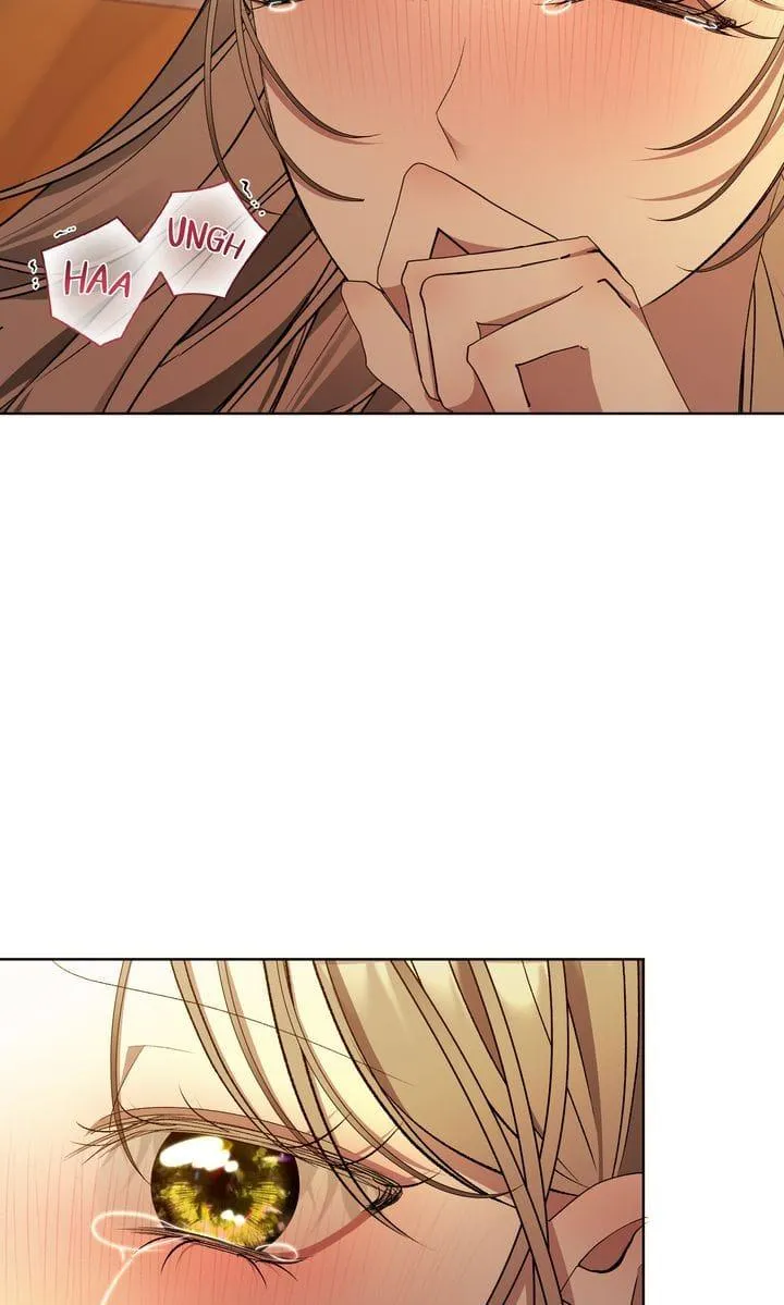 The Lord's First Night Chapter 27 page 26 - 