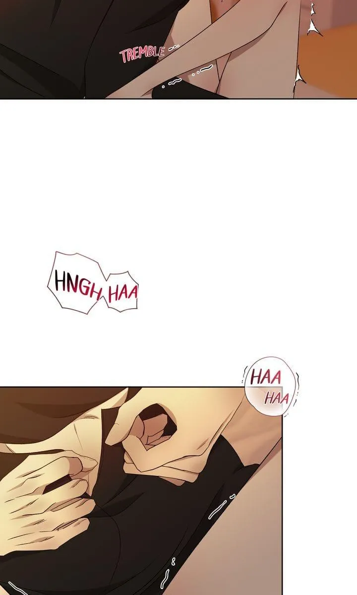 The Lord's First Night Chapter 27 page 47 - 